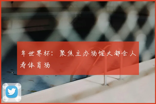 年世界杯：聚焦主办场馆大都会人寿体育场