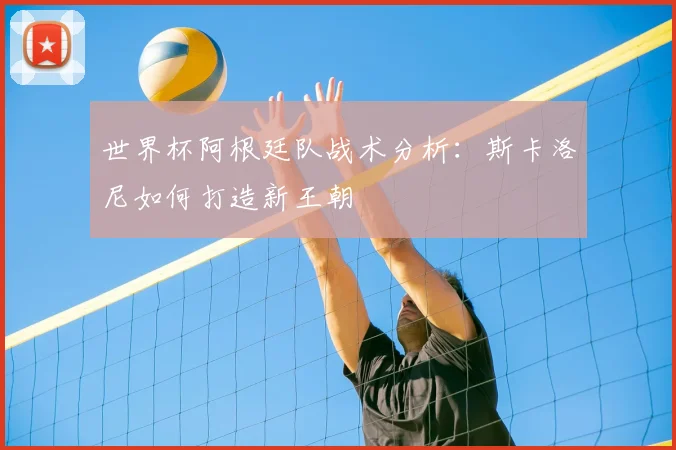 世界杯阿根廷队战术分析：斯卡洛尼如何打造新王朝